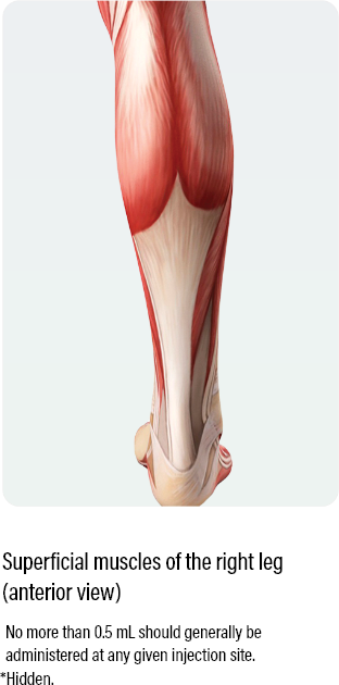 medical diagram with a anterior view showing how to dose and administer dysport for superficial muscles of the right leg in pediatric lower limb spasticity