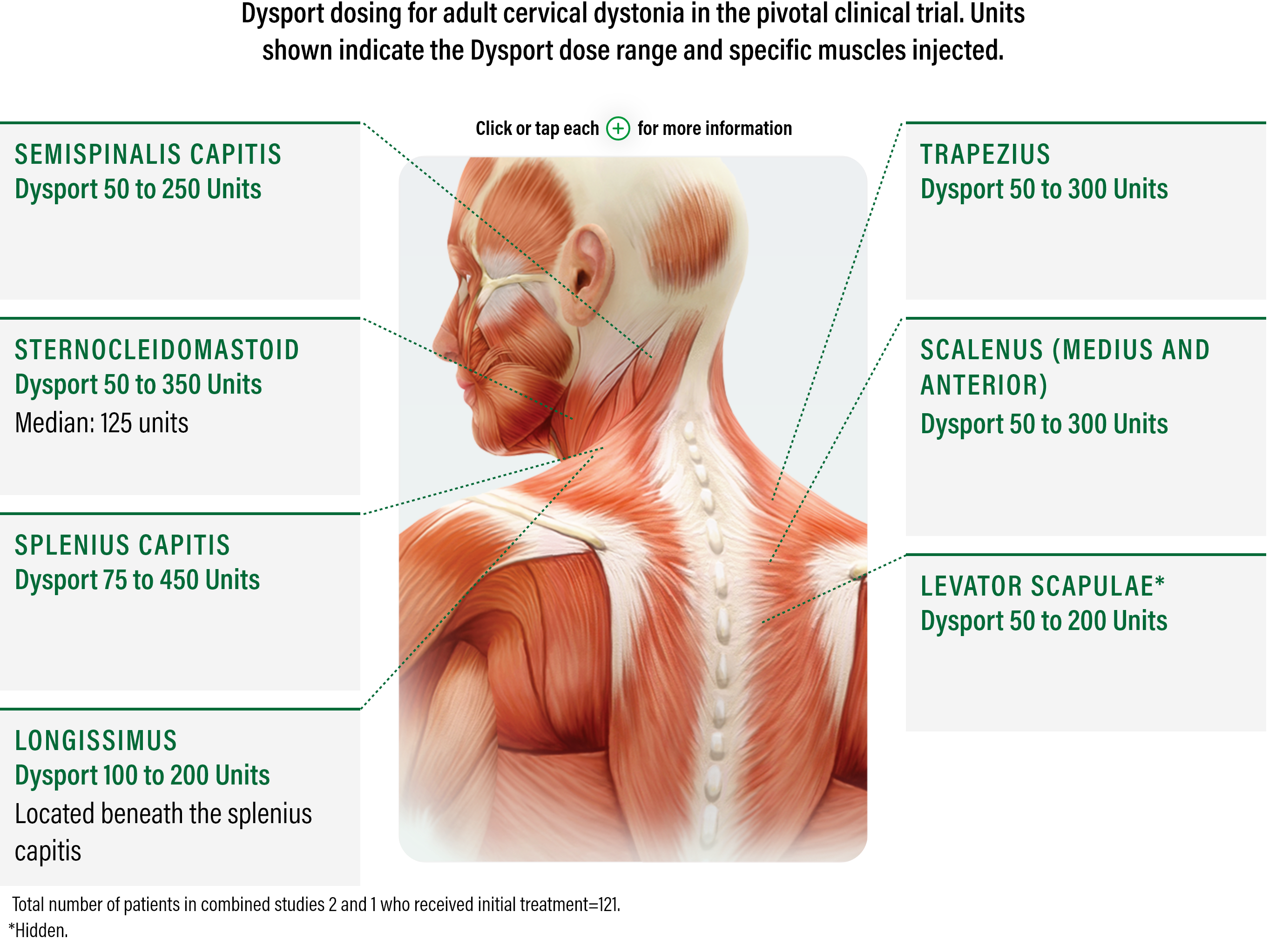 medical diagram wshowing how to dose and administer dysport to patients with cervical dystonia