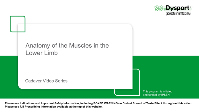 Anatomy of Lower Limb Muscles With David Porta, PhD
